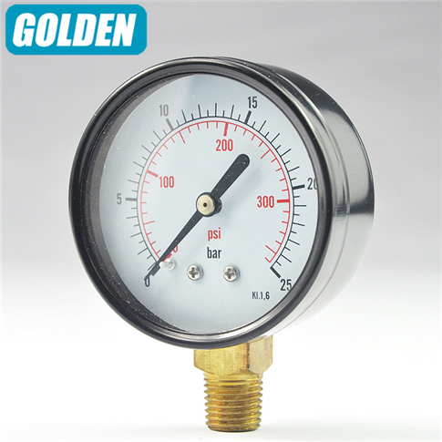 P01.General Dry Pressure Gauge