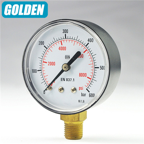 P05.General Dry Pressure Gauge